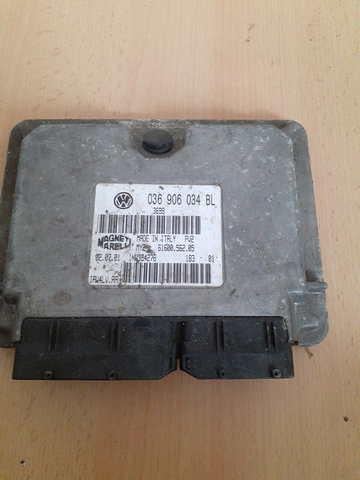 036906034BL